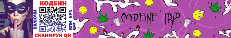 Купить где  Брюховецкая  Codein Purple Drank 